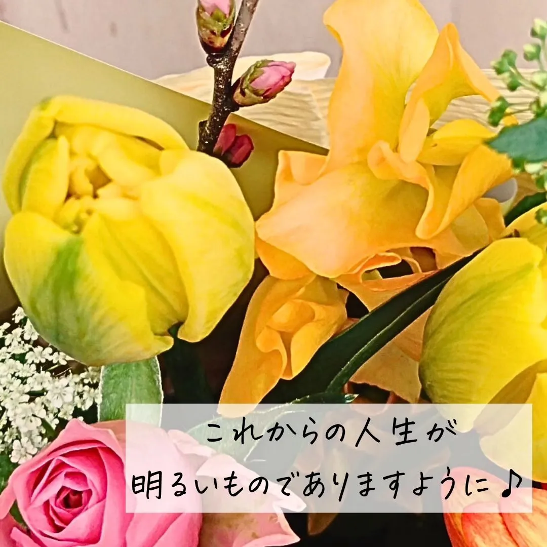 @BUDOU_TO_YANAGI ←  その他の投稿こちら