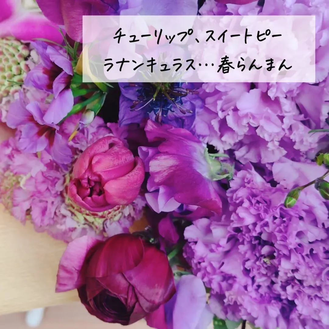 @BUDOU_TO_YANAGI ←  その他の投稿こちら