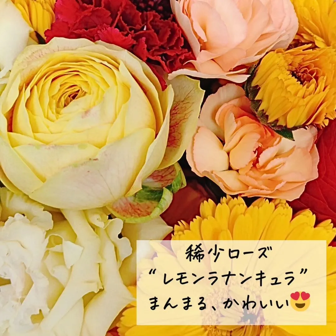 このアカウントはあなたを贈り物上手にする