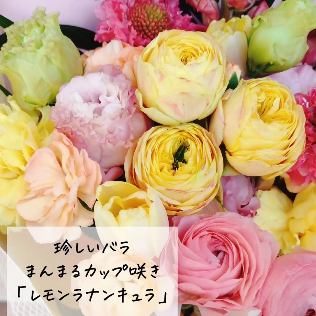 このアカウントはあなたを贈り物上手にする