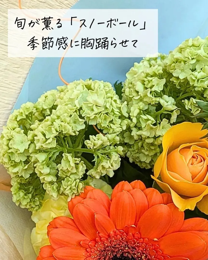 このアカウントは