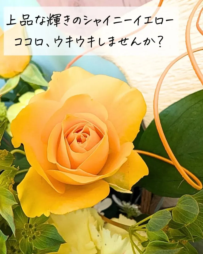 このアカウントは