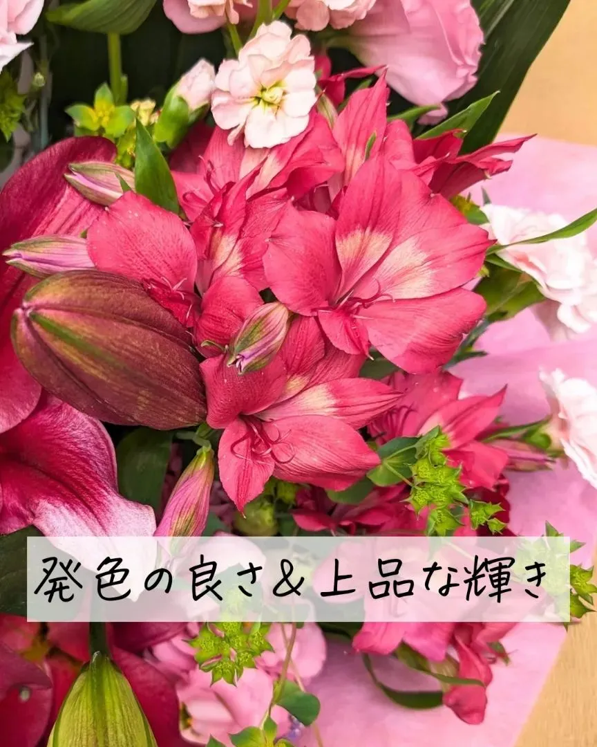 シックな赤が効く！