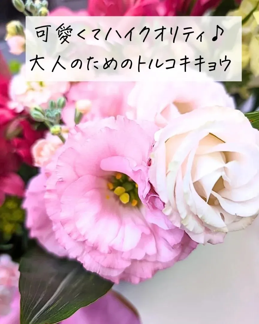 シックな赤が効く！