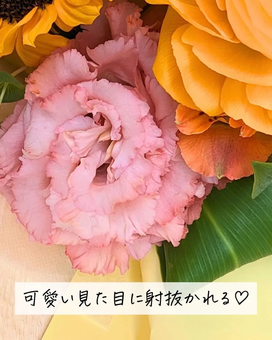 ひまわりの明るさにキュン♡