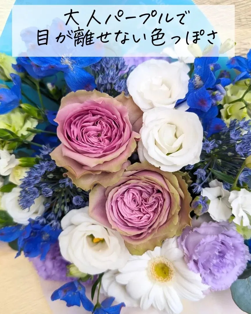 クールビューティなあなたへ