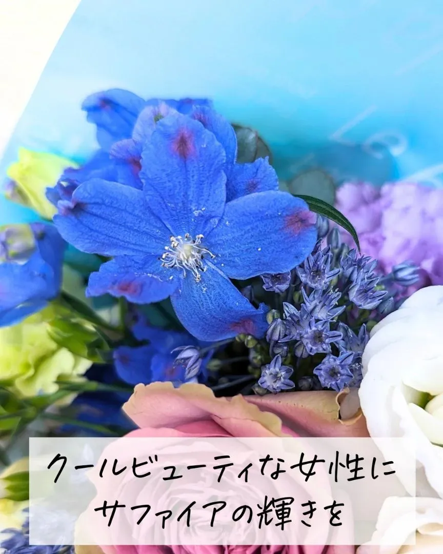 クールビューティなあなたへ