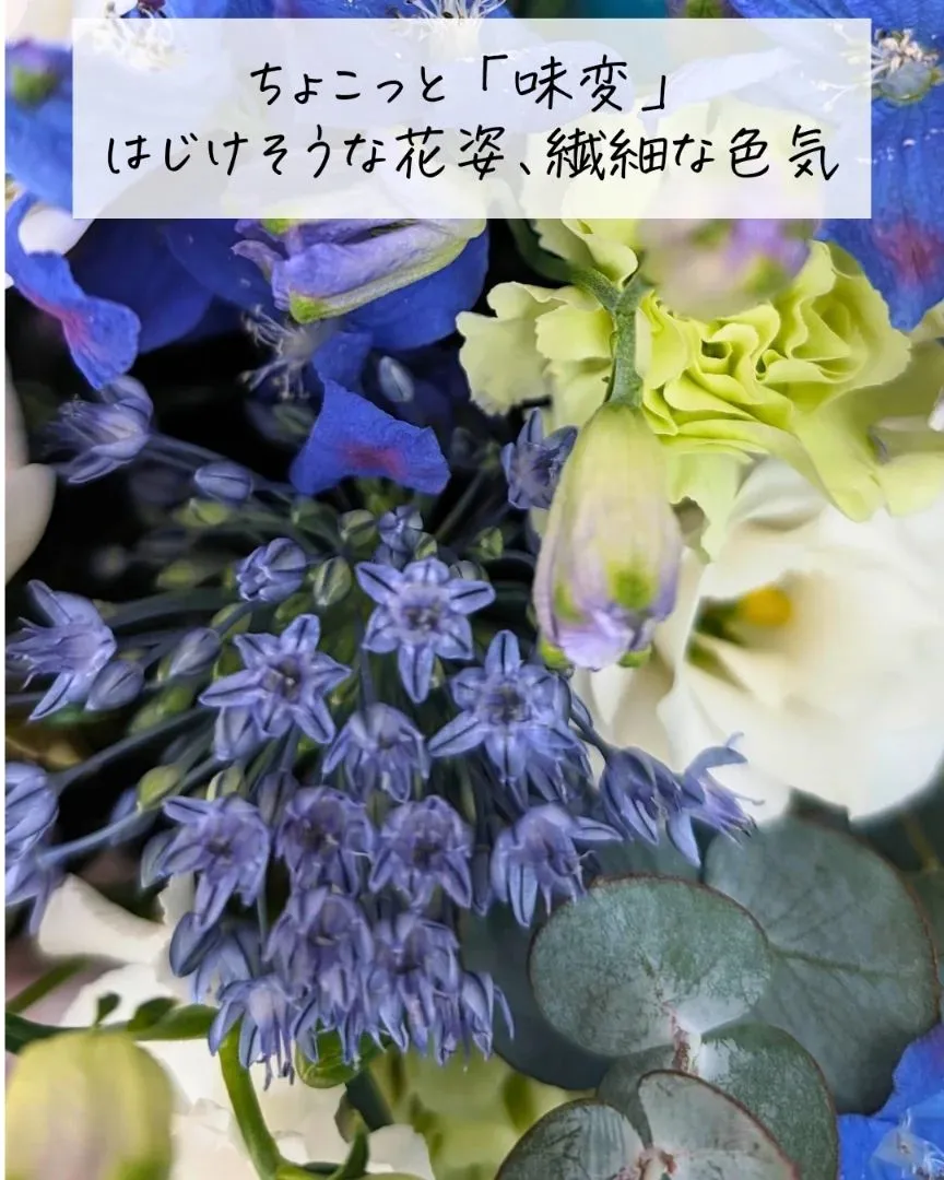 クールビューティなあなたへ