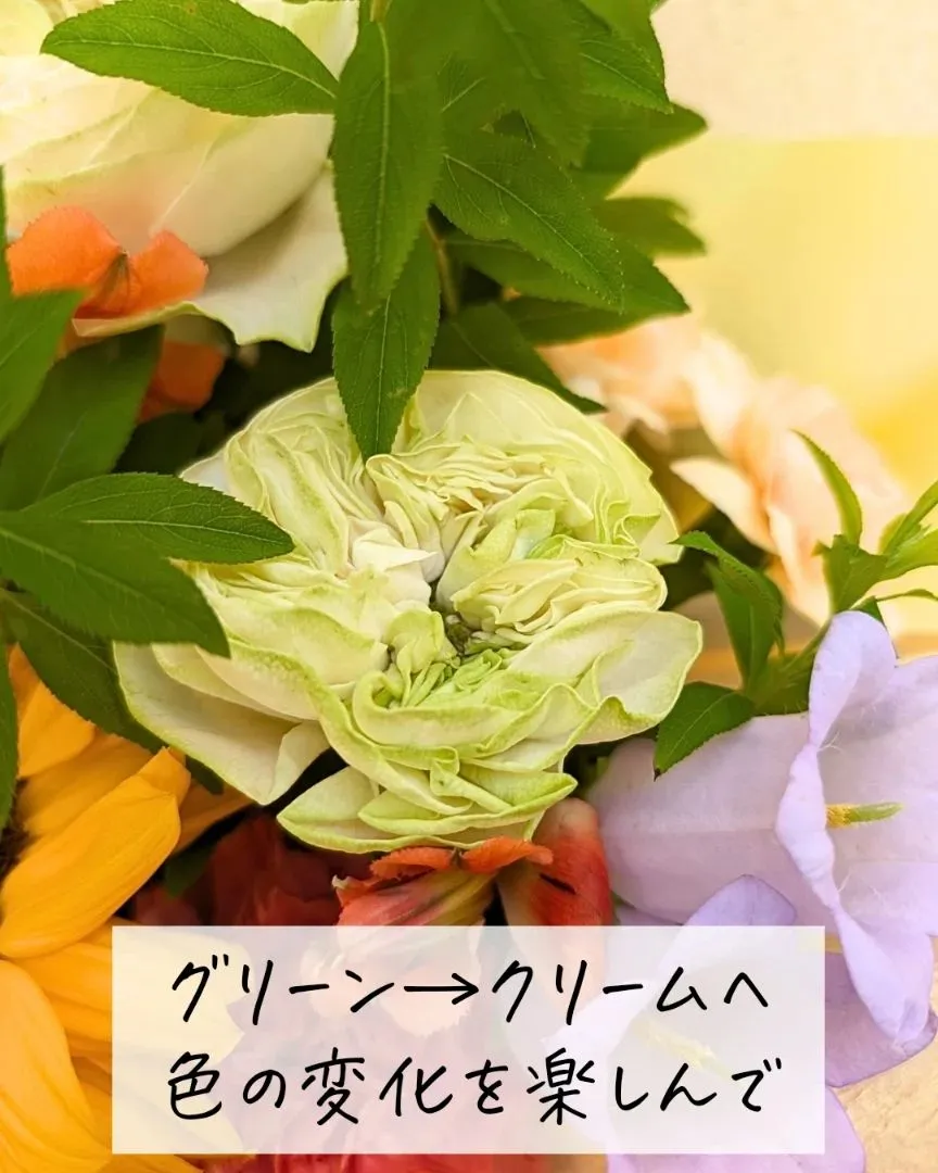 「ありがとう」