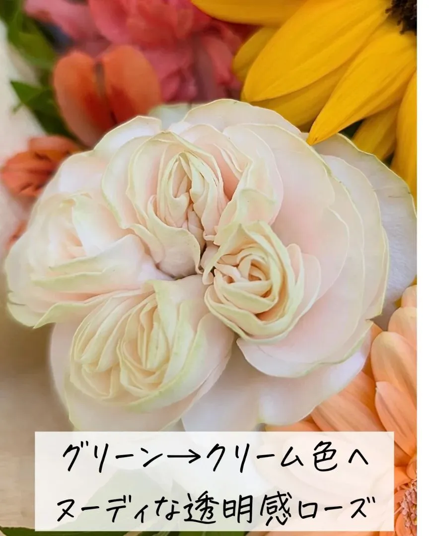 「ありがとう」