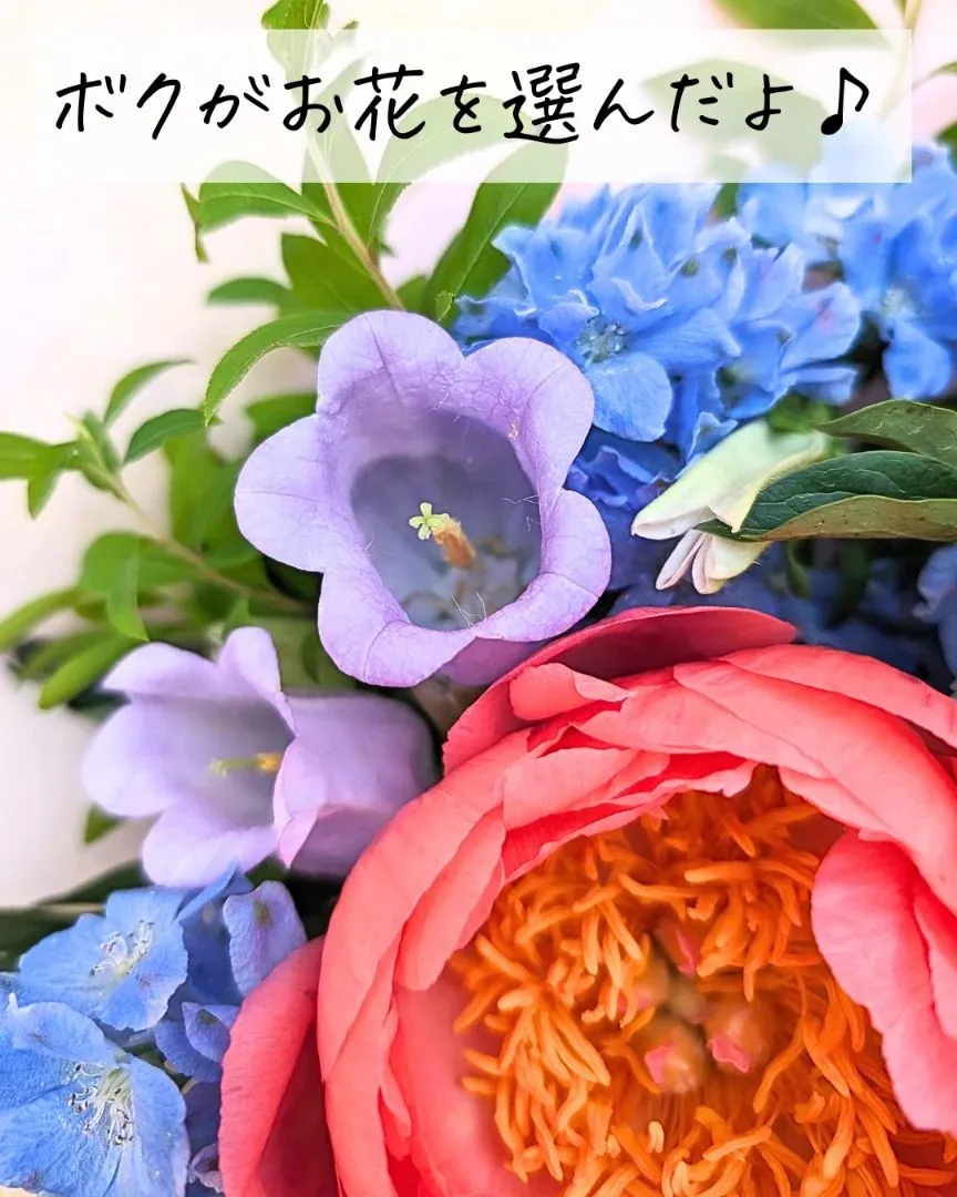 だいすき×大好き