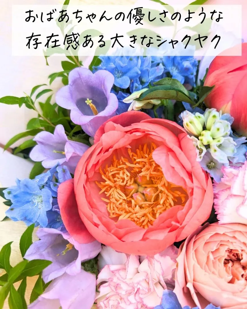 だいすき×大好き