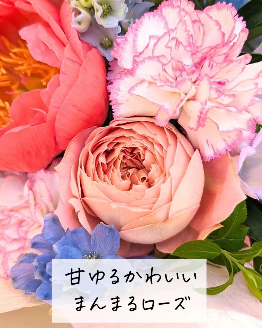 だいすき×大好き