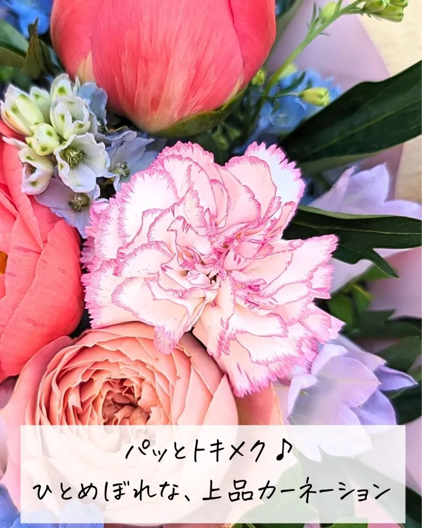 だいすき×大好き