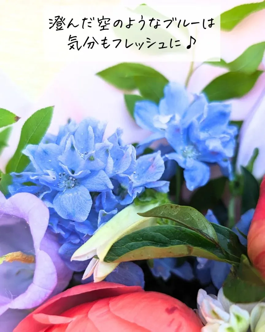 だいすき×大好き