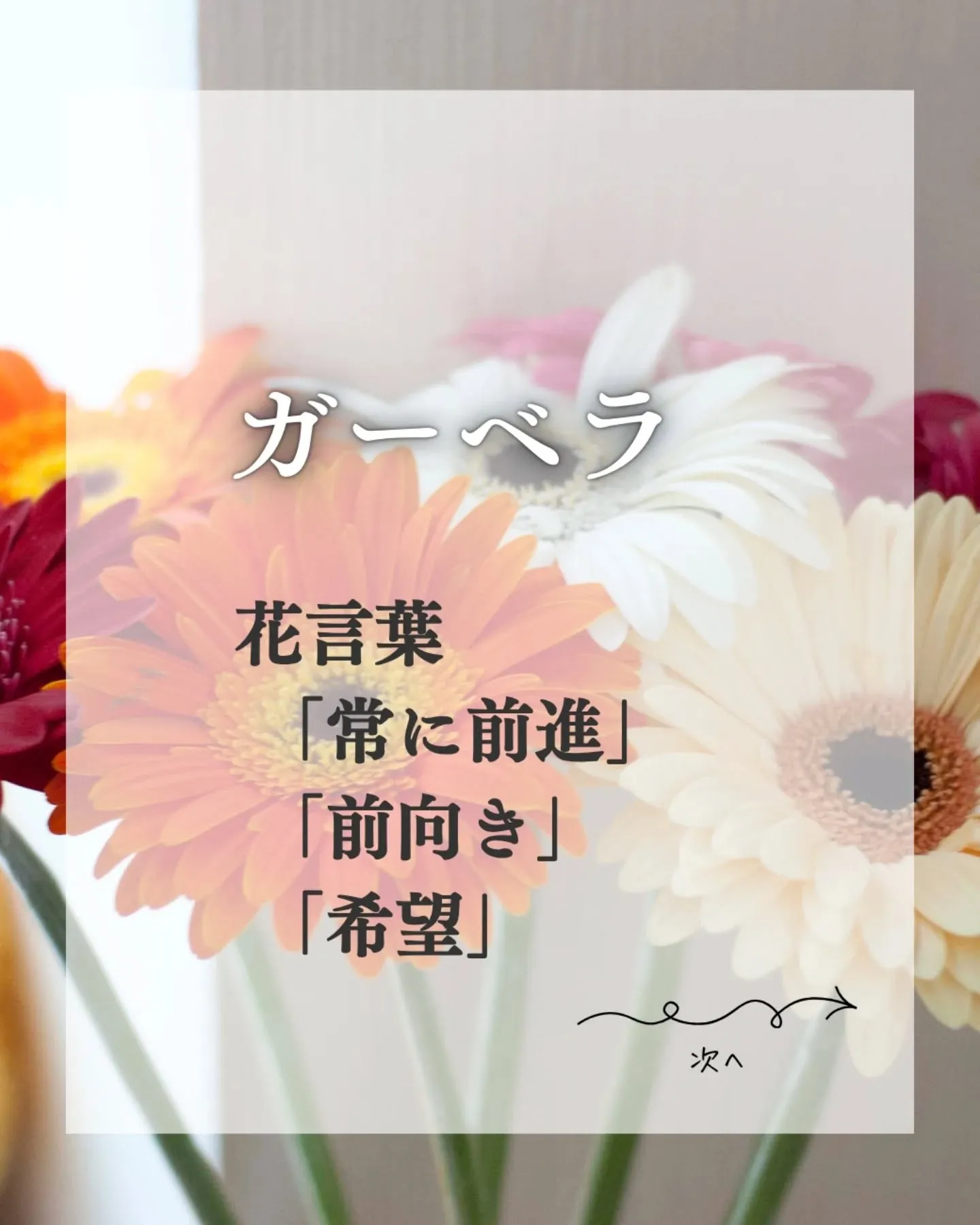 【年代別、おすすめはキャプションに↓】