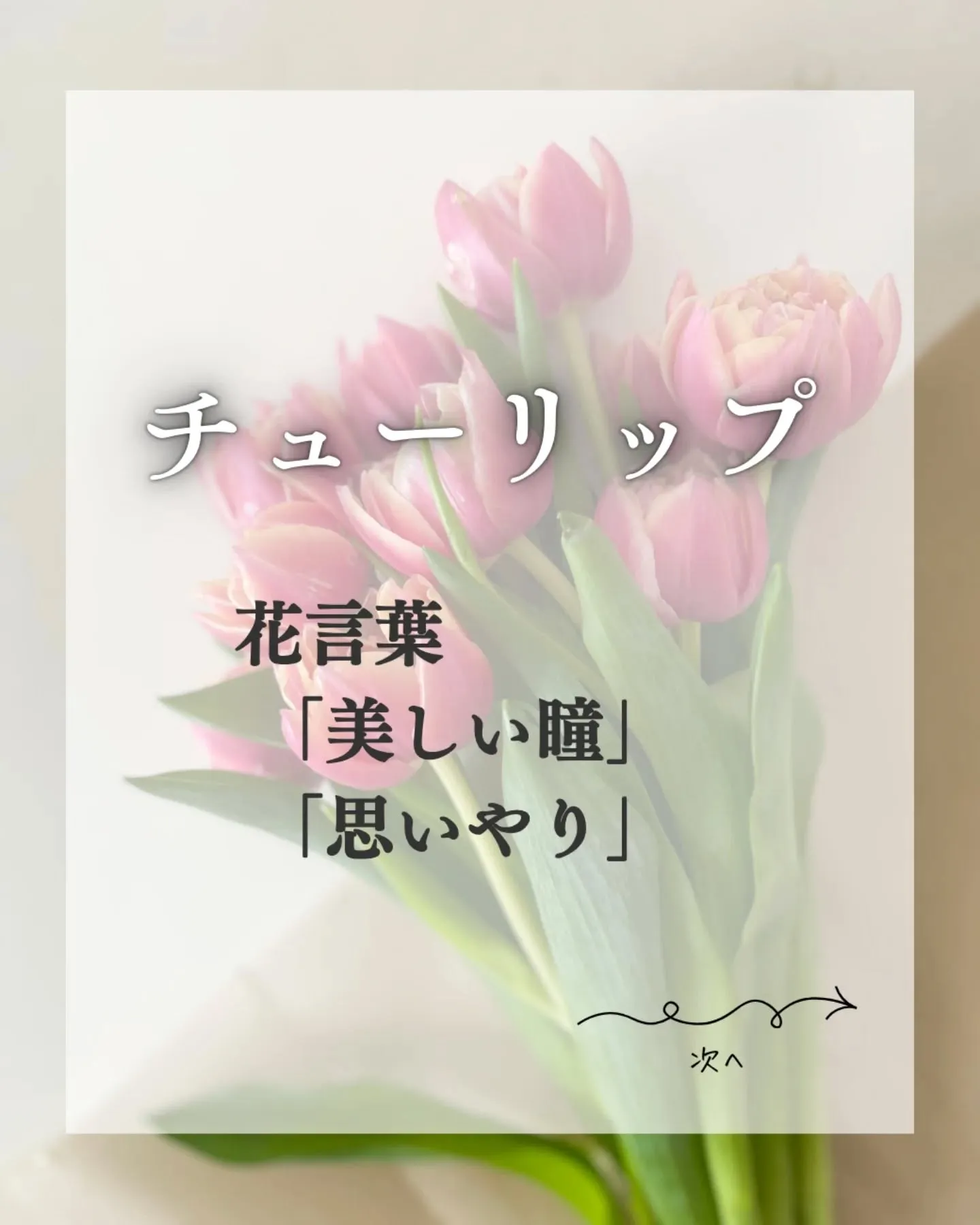 【年代別、おすすめはキャプションに↓】