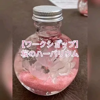 桜のハーバリウム作りのワークショップにご参加頂きました！
