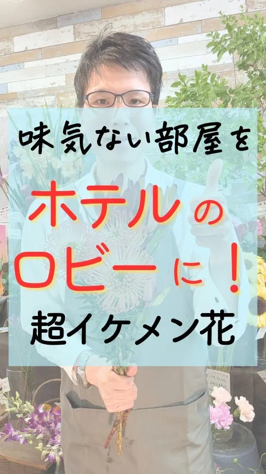 味気ない部屋をホテルのロビーに！
