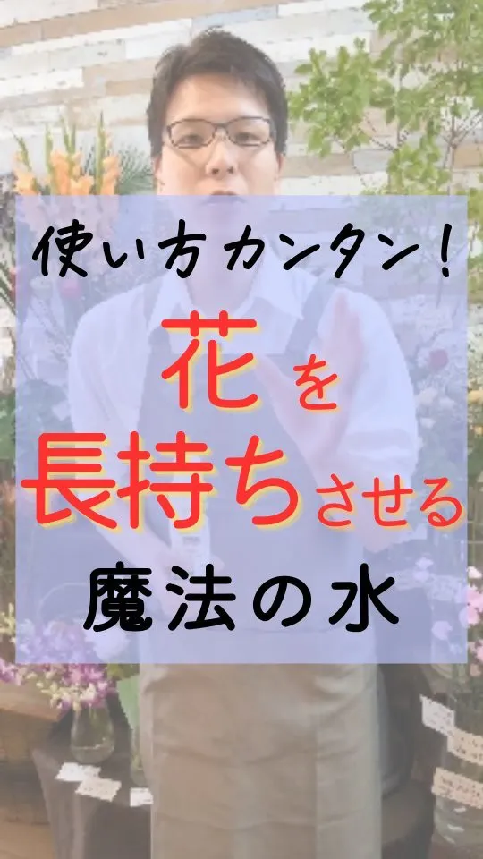 花を長持ちさせる、魔法の水