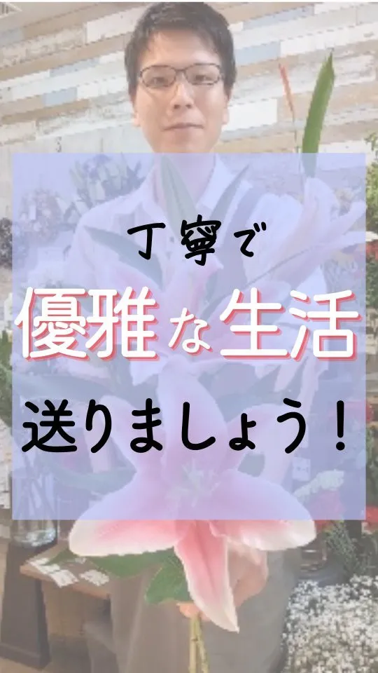 カンタン！丁寧で優雅な暮らし送りませんか？