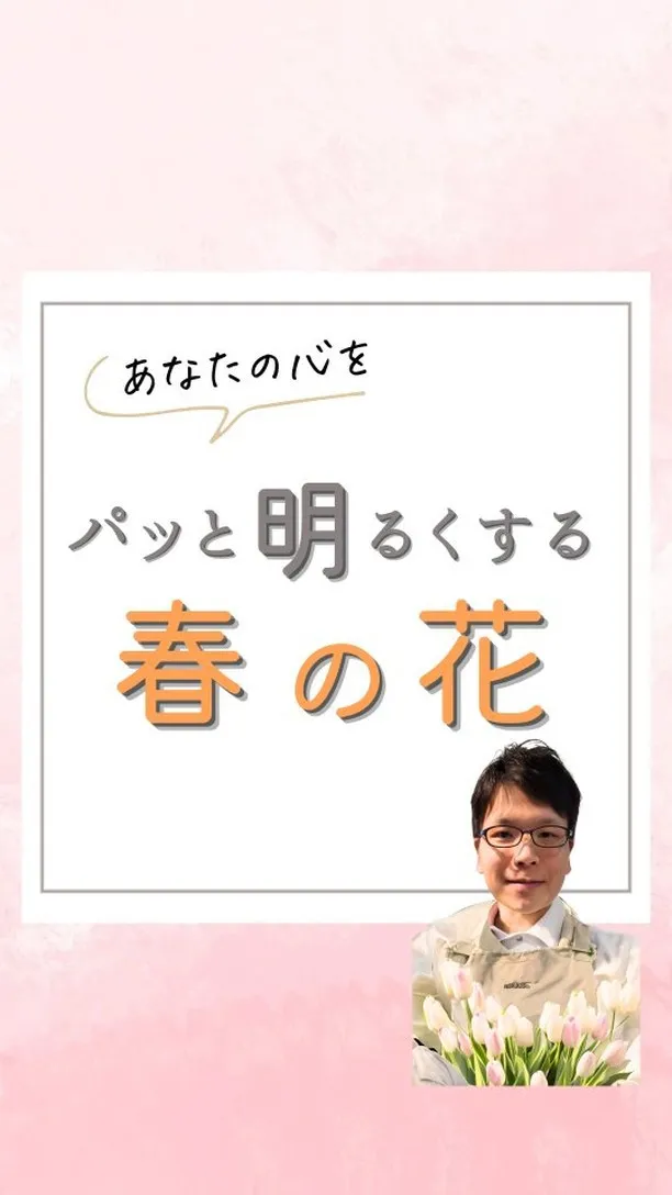 【あなたの心をパッと明るくする春の花】